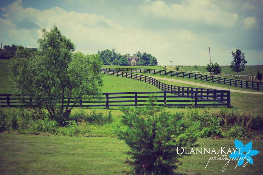 Maple Hill Manor Bed & Breakfast Springfield ภายนอก รูปภาพ