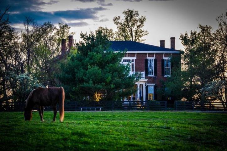 Maple Hill Manor Bed & Breakfast Springfield ภายนอก รูปภาพ